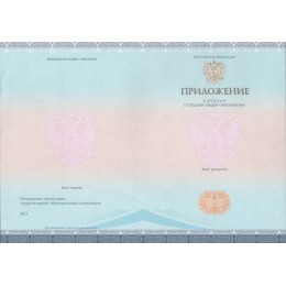 Аттестат 11 класс 2014-2020 СпецБланк