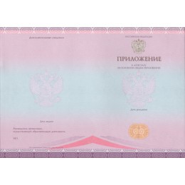 Аттестат 9 класс 2014-2020 СпецБланк