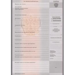 Диплом колледжа 2008-2010 ГОЗНАК