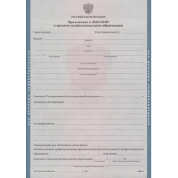 Диплом колледжа 2011-2013 ГОЗНАК