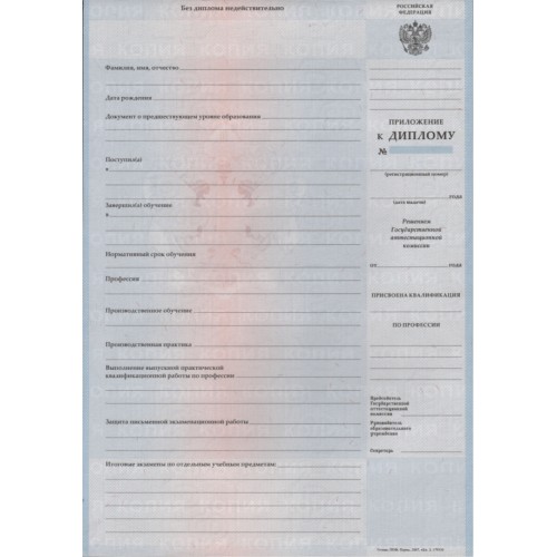 Диплом училища 2007-2010 "ГОЗНАК"