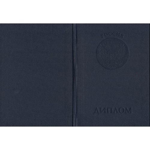 Диплом бакалавра 2004-2008 на бланке  ГОЗНАК