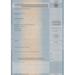 Диплом бакалавра 2004-2008 ГОЗНАК