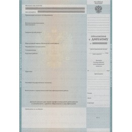 Диплом бакалавра 2009-2010 ГОЗНАК