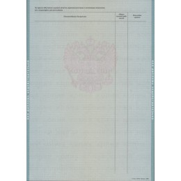 Диплом бакалавра 2009-2010 ГОЗНАК