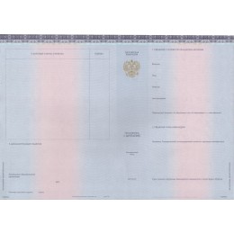 Диплом бакалавра 2014-2022 Киржач