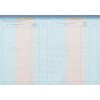 Диплом бакалавра 2014-2022  ООО «СпецБланк-Москва»