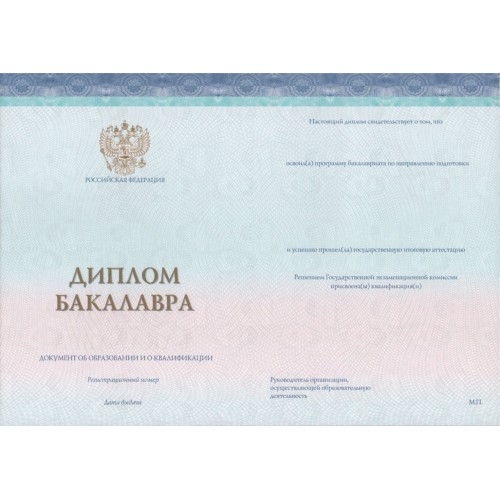 Диплом бакалавра 2023-2025  ООО «СпецБланк-Москва»