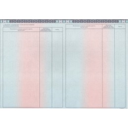 Диплом магистра 2023-2025 ГОЗНАК нового образца