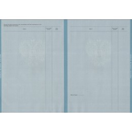 Диплом магистра 1997-2013 ГОЗНАК для иностранца