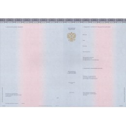 Диплом магистра 2023-2025 Киржач нового образца