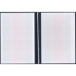 Диплом магистра 2023-2025 ЗНАК нового образца