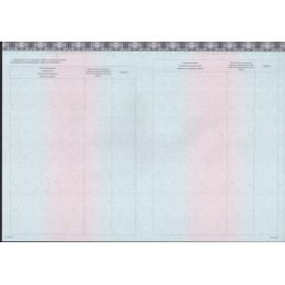 Диплом магистра 2023-2025 ЗНАК нового образца