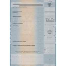 Диплом специалиста 2004-2008 ГОЗНАК