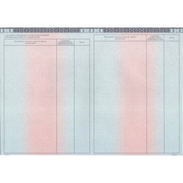 Диплом специалиста 2023-2025 ГОЗНАК нового образца