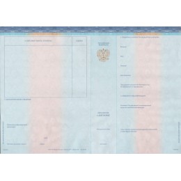 Диплом специалиста 2014-2022 СпецБланк