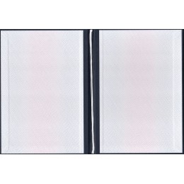 Диплом специалиста 2014-2022 ЗНАК