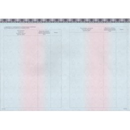 Диплом специалиста 2023-2025 ЗНАК нового образца