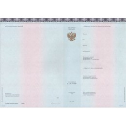 Диплом специалиста 2023-2025 ЗНАК нового образца